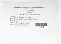 Image Associated With the Occurence